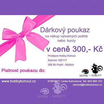 300 Kč - DÁRKOVÝ POUKAZ