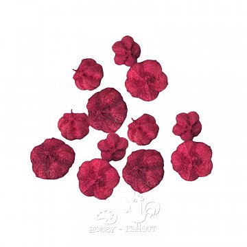 Bobule gaya red červené 25 g