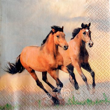 Ubrousek na decoupage - vzor 4103 koně