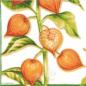 Ubrousek na decoupage - vzor 3003 podzim, mochyně