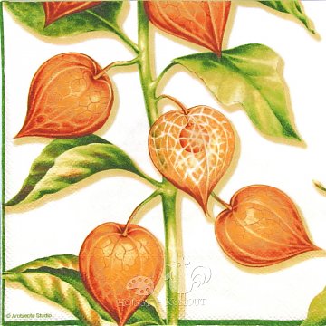 Ubrousek na decoupage - vzor 0717