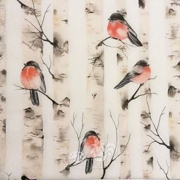 Ubrousek na decoupage - vzor 4451 ptáčci robin bříza