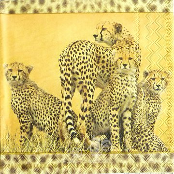 Ubrousek na decoupage - vzor 4501 Afrika gepardi
