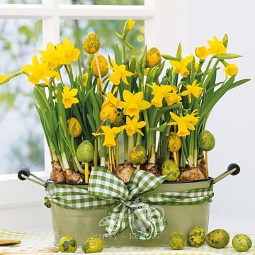 Ubrousek na decoupage - vzor 1205 narcisky v truhlíku