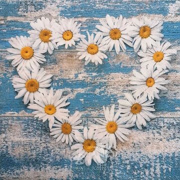 Ubrousek na decoupage - vzor 1407 srdce, kopretiny patina modrá