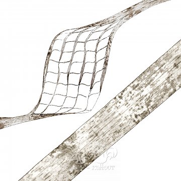 Stuha bříza š. 25 mm - béžová přírodní 1 m