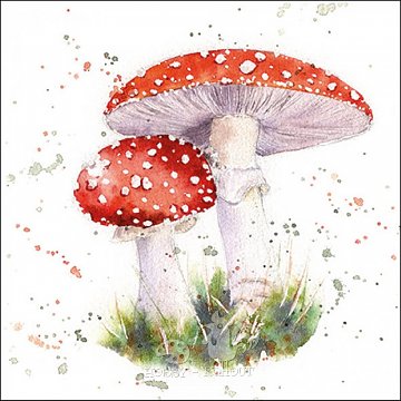 Ubrousek na decoupage - vzor 2707 houby muchomůrky