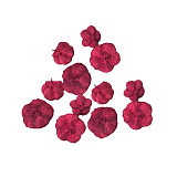 Bobule gaya red červené 25 g