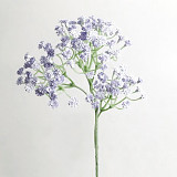 Dekorace - gypsophila světlá fialová 60 cm