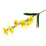 Dekorace - narcisky stonek 45 cm