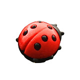 Magnet beruška vel. 3 cm
