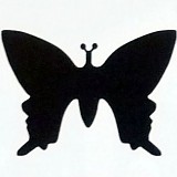 Raznice - Motýlek  2,2 cm