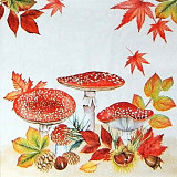 Ubrousek na decoupage - vzor 2702 houby muchomůrky, podzim