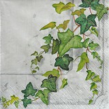 Ubrousek na decoupage - vzor 0604 břečťan