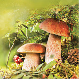 Ubrousek na decoupage - vzor 2704 houby hřiby