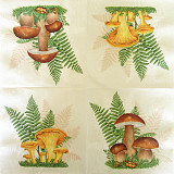 Ubrousek na decoupage - vzor 2708 houby, kapradí