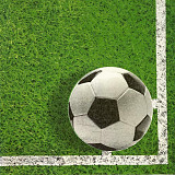 Ubrousek na decoupage - vzor 4702 míč fotbal